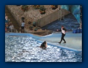                                                                                                                                                                                                                                                                