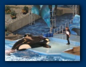                                                                                                                                                                                                                                                                