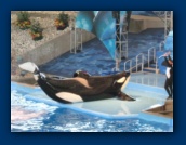                                                                                                                                                                                                                                                                