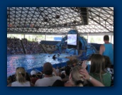                                                                                                                                                                                                                                                                