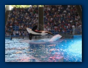                                                                                                                                                                                                                                                                