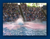                                                                                                                                                                                                                                                                