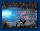                                                                                                                                                                                                                                                                