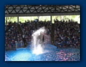                                                                                                                                                                                                                                                                