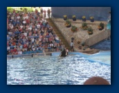                                                                                                                                                                                                                                                                