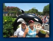                                                                                                                                                                                                                                                                