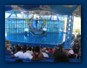                                                                                                                                                                                                                                                                