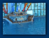                                                                                                                                                                                                                                                                