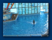                                                                                                                                                                                                                                                                