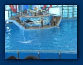                                                                                                                                                                                                                                                                