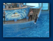                                                                                                                                                                                                                                                                