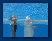                                                                                                                                                                                                                                                                