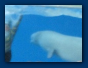                                                                                                                                                                                                                                                                