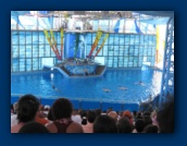                                                                                                                                                                                                                                                                