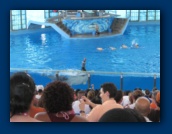                                                                                                                                                                                                                                                                