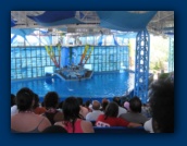                                                                                                                                                                                                                                                                