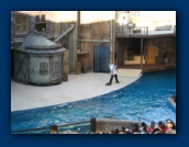                                                                                                                                                                                                                                                                