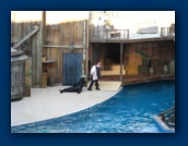                                                                                                                                                                                                                                                                