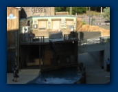                                                                                                                                                                                                                                                                