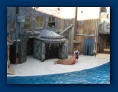                                                                                                                                                                                                                                                                