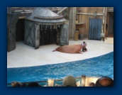                                                                                                                                                                                                                                                                