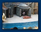                                                                                                                                                                                                                                                                