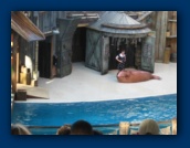                                                                                                                                                                                                                                                                