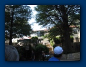                                                                                                                                                                                                                                                                