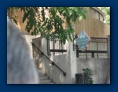                                                                                                                                                                                                                                                                