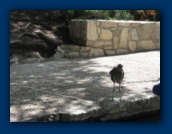                                                                                                                                                                                                                                                                