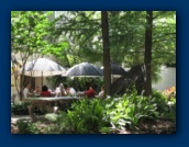                                                                                                                                                                                                                                                                