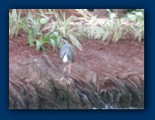                                                                                                                                                                                                                                                                