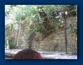                                                                                                                                                                                                                                                                