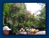                                                                                                                                                                                                                                                                