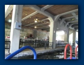                                                                                                                                                                                                                                                                