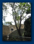                                                                                                                                                                                                                                                                