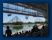                                                                                                                                                                                                                                                                