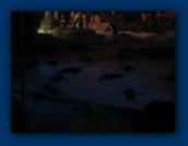                                                                                                                                                                                                                                                                