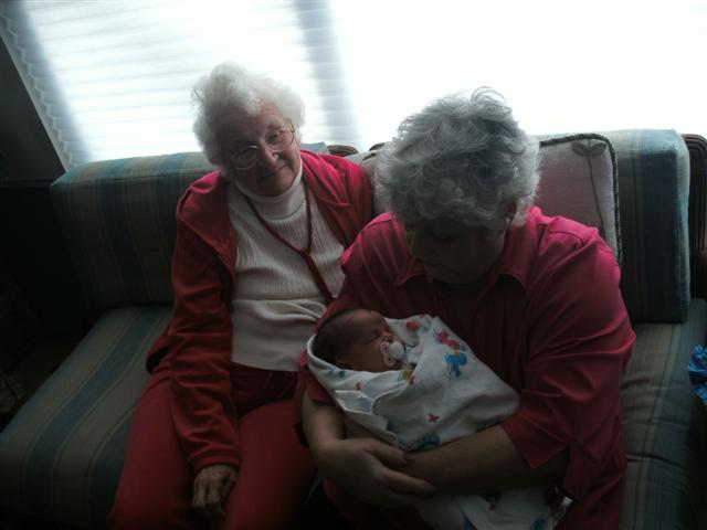 618x457 pixels (33K)