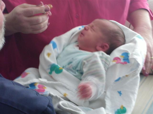 618x457 pixels (35K)